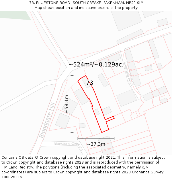 73, BLUESTONE ROAD, SOUTH CREAKE, FAKENHAM, NR21 9LY: Plot and title map