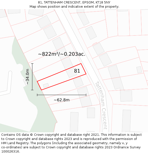 81, TATTENHAM CRESCENT, EPSOM, KT18 5NY: Plot and title map