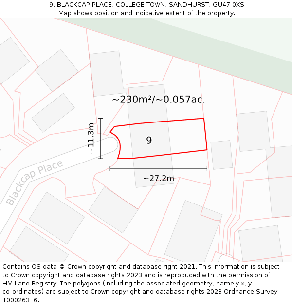 9, BLACKCAP PLACE, COLLEGE TOWN, SANDHURST, GU47 0XS: Plot and title map