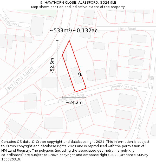 9, HAWTHORN CLOSE, ALRESFORD, SO24 9LE: Plot and title map