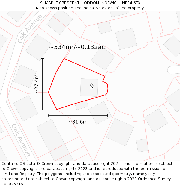 9, MAPLE CRESCENT, LODDON, NORWICH, NR14 6FX: Plot and title map