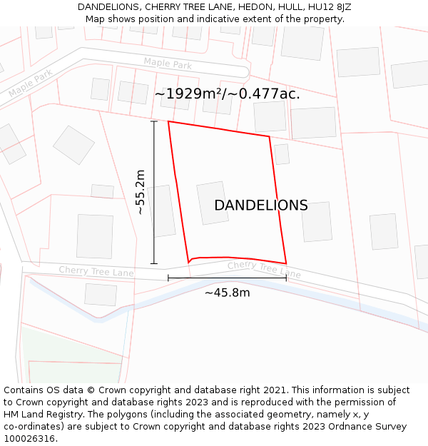 DANDELIONS, CHERRY TREE LANE, HEDON, HULL, HU12 8JZ: Plot and title map