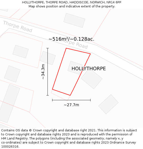 HOLLYTHORPE, THORPE ROAD, HADDISCOE, NORWICH, NR14 6PP: Plot and title map