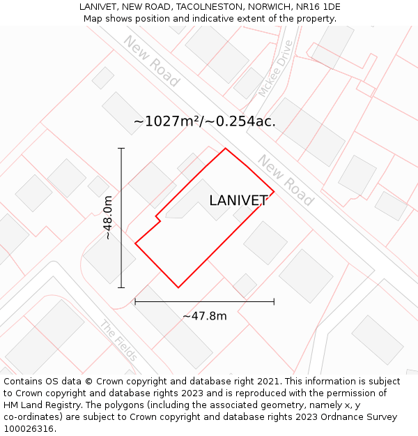 LANIVET, NEW ROAD, TACOLNESTON, NORWICH, NR16 1DE: Plot and title map