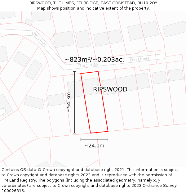 RIPSWOOD, THE LIMES, FELBRIDGE, EAST GRINSTEAD, RH19 2QY: Plot and title map