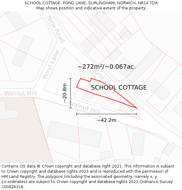 SCHOOL COTTAGE, POND LANE, SURLINGHAM, NORWICH, NR14 7DA: Plot and title map