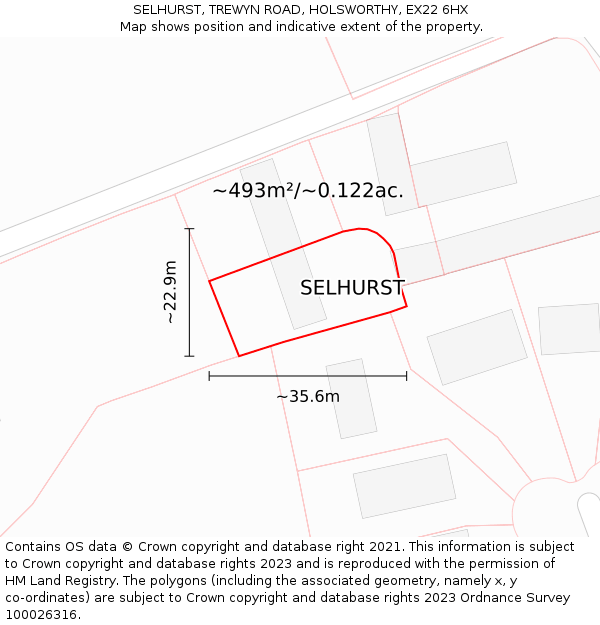 SELHURST, TREWYN ROAD, HOLSWORTHY, EX22 6HX: Plot and title map