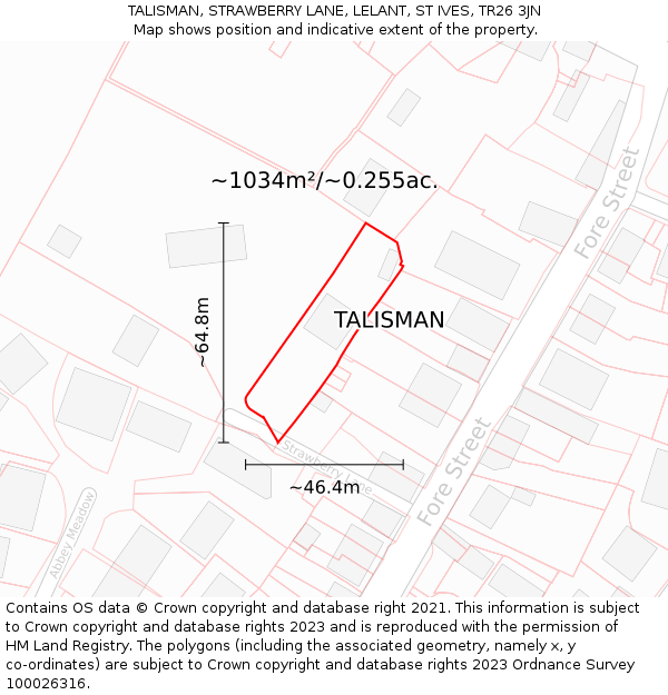 TALISMAN, STRAWBERRY LANE, LELANT, ST IVES, TR26 3JN: Plot and title map