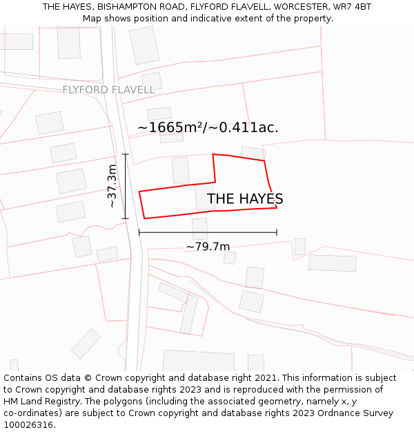 THE HAYES, BISHAMPTON ROAD, FLYFORD FLAVELL, WORCESTER, WR7 4BT: Plot and title map