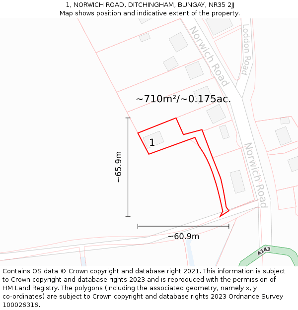 1, NORWICH ROAD, DITCHINGHAM, BUNGAY, NR35 2JJ: Plot and title map