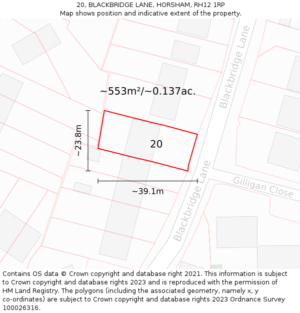 20, BLACKBRIDGE LANE, HORSHAM, RH12 1RP: Plot and title map