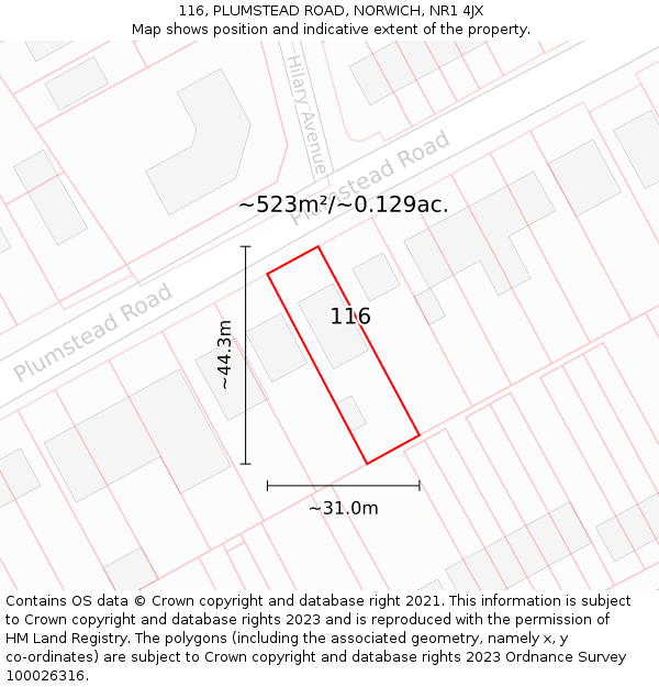 116, PLUMSTEAD ROAD, NORWICH, NR1 4JX: Plot and title map