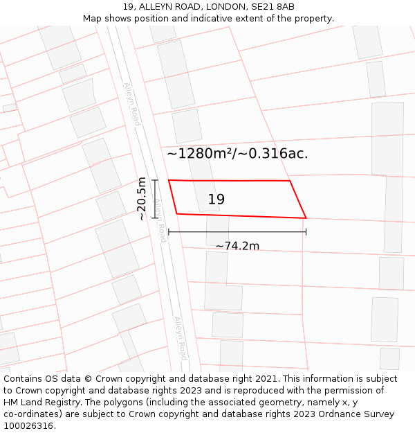 19, ALLEYN ROAD, LONDON, SE21 8AB: Plot and title map