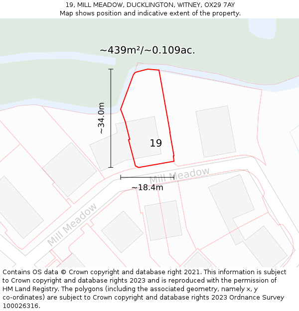 19, MILL MEADOW, DUCKLINGTON, WITNEY, OX29 7AY: Plot and title map