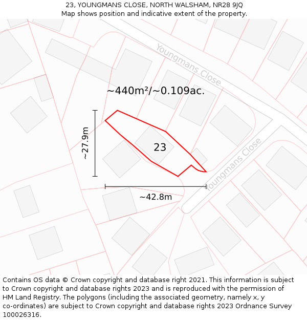 23, YOUNGMANS CLOSE, NORTH WALSHAM, NR28 9JQ: Plot and title map