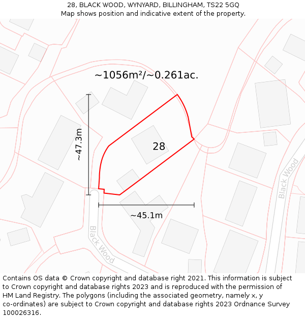 28, BLACK WOOD, WYNYARD, BILLINGHAM, TS22 5GQ: Plot and title map