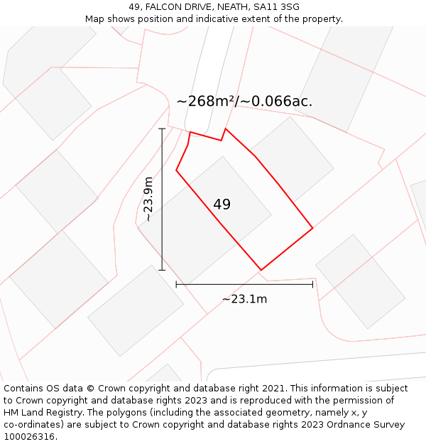 49, FALCON DRIVE, NEATH, SA11 3SG: Plot and title map