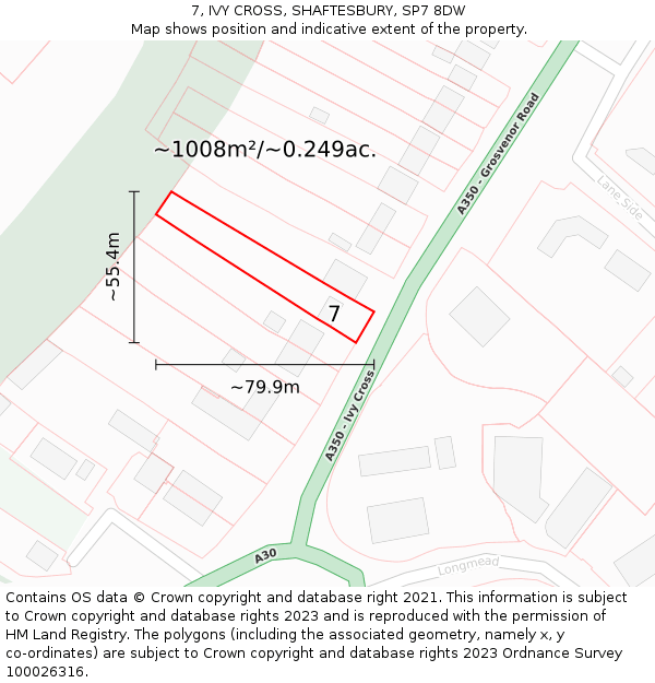 7, IVY CROSS, SHAFTESBURY, SP7 8DW: Plot and title map