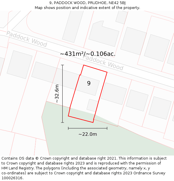 9, PADDOCK WOOD, PRUDHOE, NE42 5BJ: Plot and title map