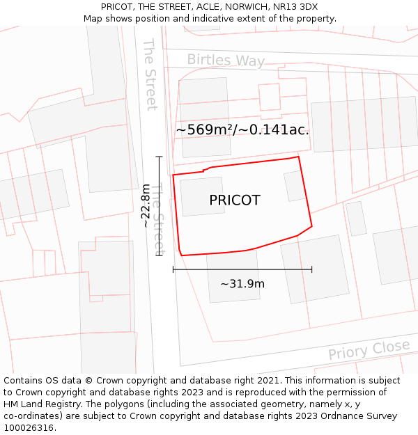 PRICOT, THE STREET, ACLE, NORWICH, NR13 3DX: Plot and title map