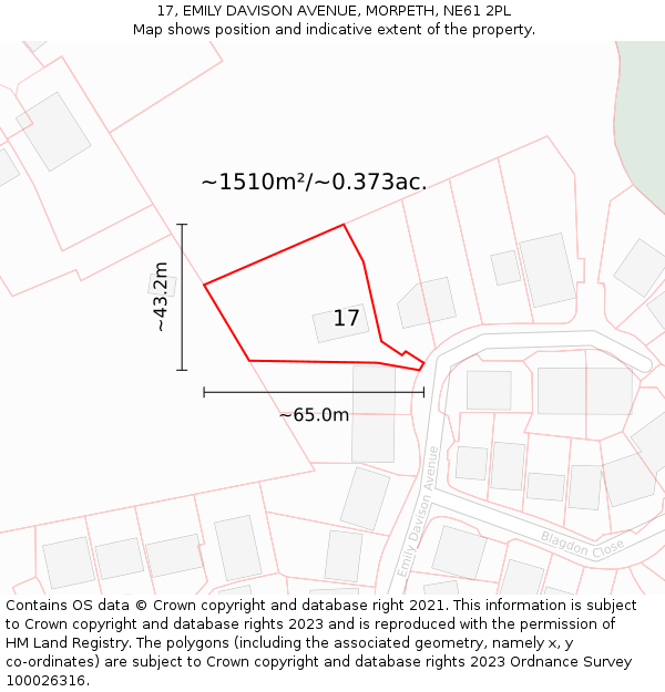 17, EMILY DAVISON AVENUE, MORPETH, NE61 2PL: Plot and title map