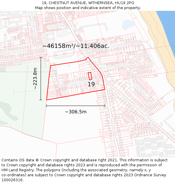 19, CHESTNUT AVENUE, WITHERNSEA, HU19 2PG: Plot and title map