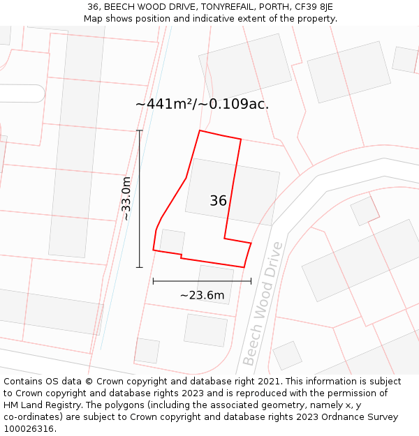 36, BEECH WOOD DRIVE, TONYREFAIL, PORTH, CF39 8JE: Plot and title map