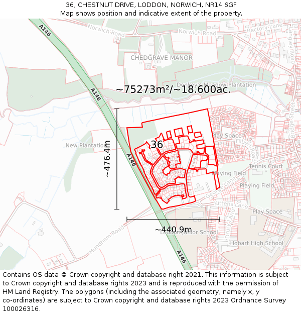 36, CHESTNUT DRIVE, LODDON, NORWICH, NR14 6GF: Plot and title map