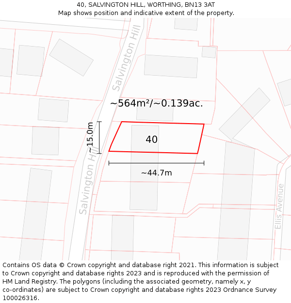 40, SALVINGTON HILL, WORTHING, BN13 3AT: Plot and title map