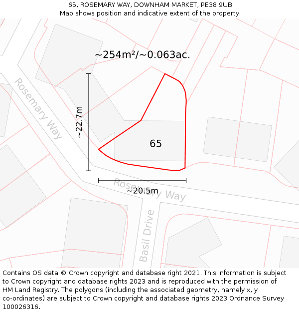 65, ROSEMARY WAY, DOWNHAM MARKET, PE38 9UB: Plot and title map