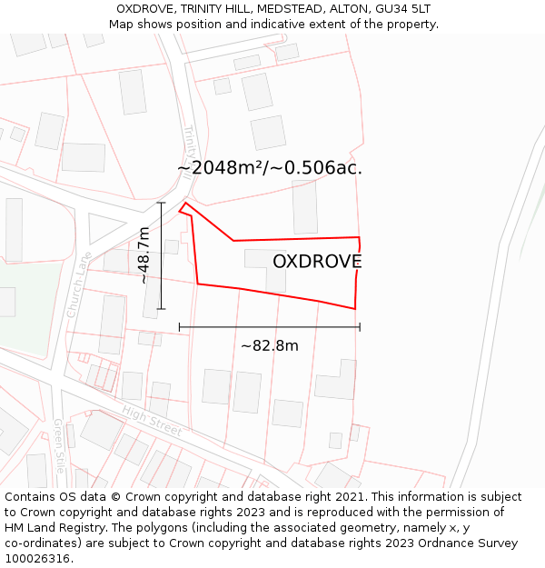 OXDROVE, TRINITY HILL, MEDSTEAD, ALTON, GU34 5LT: Plot and title map