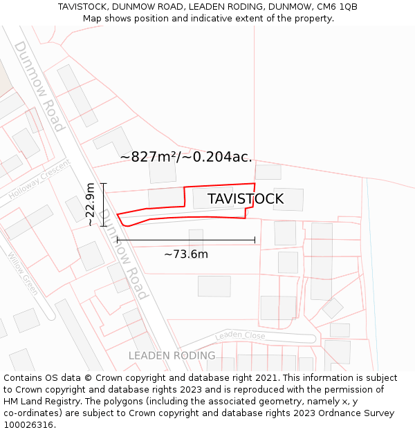 TAVISTOCK, DUNMOW ROAD, LEADEN RODING, DUNMOW, CM6 1QB: Plot and title map