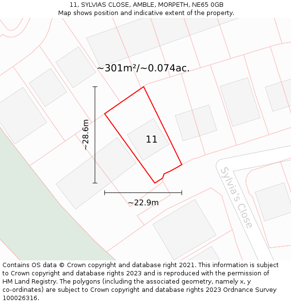 11, SYLVIAS CLOSE, AMBLE, MORPETH, NE65 0GB: Plot and title map