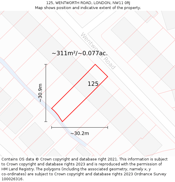 125, WENTWORTH ROAD, LONDON, NW11 0RJ: Plot and title map