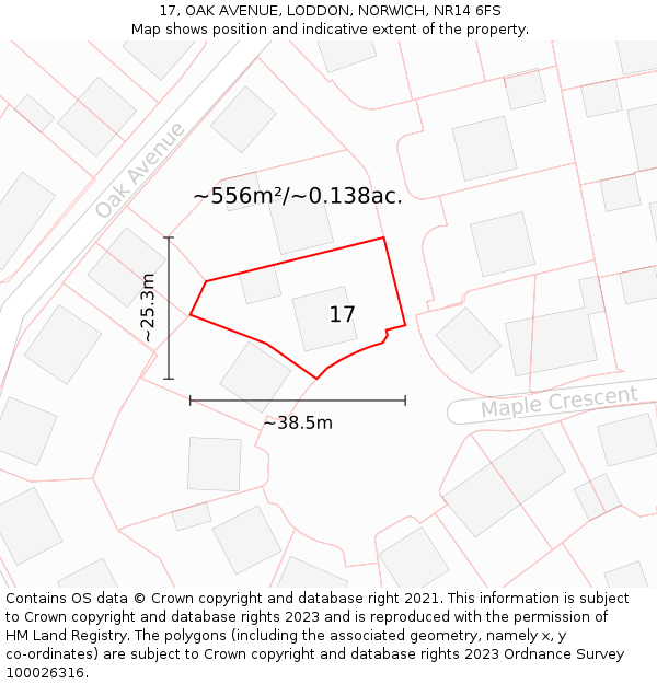 17, OAK AVENUE, LODDON, NORWICH, NR14 6FS: Plot and title map