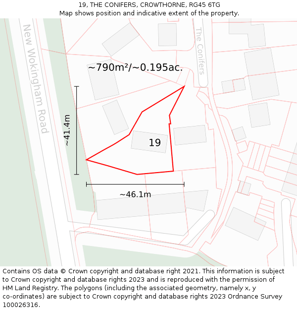 19, THE CONIFERS, CROWTHORNE, RG45 6TG: Plot and title map