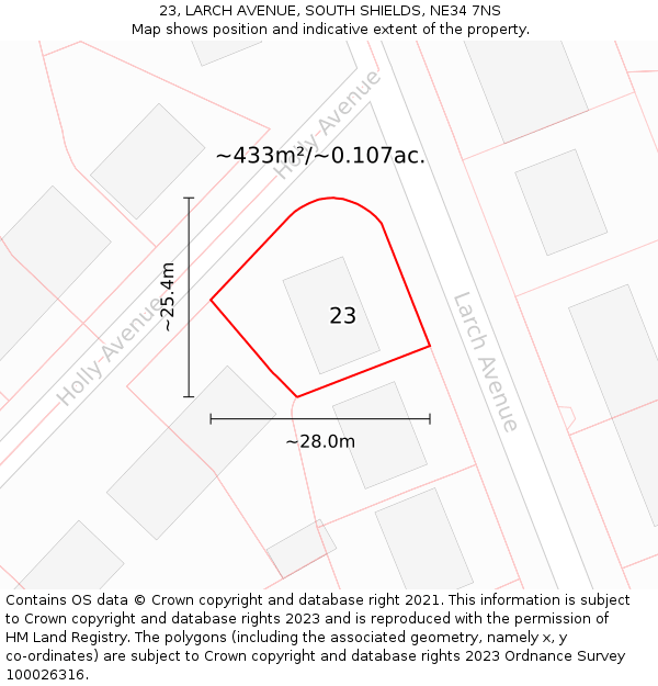 23, LARCH AVENUE, SOUTH SHIELDS, NE34 7NS: Plot and title map