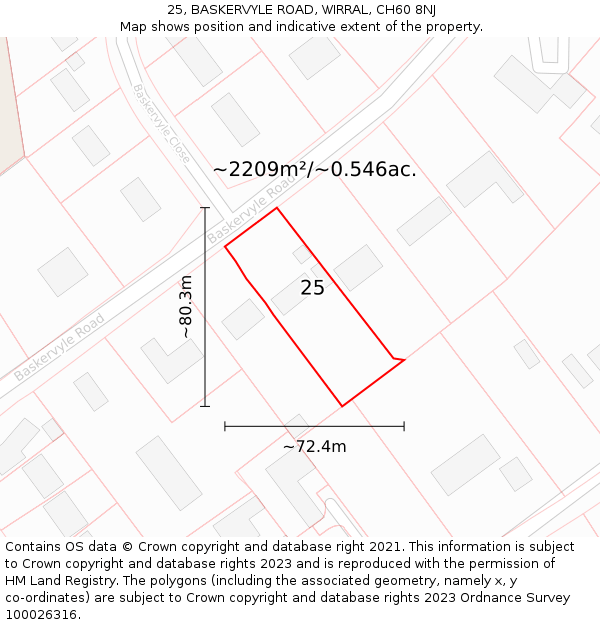 25, BASKERVYLE ROAD, WIRRAL, CH60 8NJ: Plot and title map