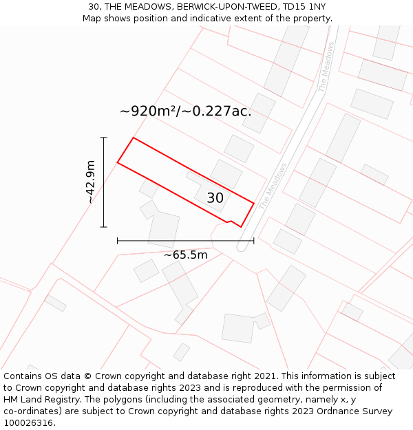 30, THE MEADOWS, BERWICK-UPON-TWEED, TD15 1NY: Plot and title map