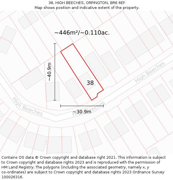 38, HIGH BEECHES, ORPINGTON, BR6 6EF: Plot and title map