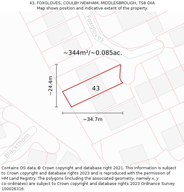 43, FOXGLOVES, COULBY NEWHAM, MIDDLESBROUGH, TS8 0XA: Plot and title map