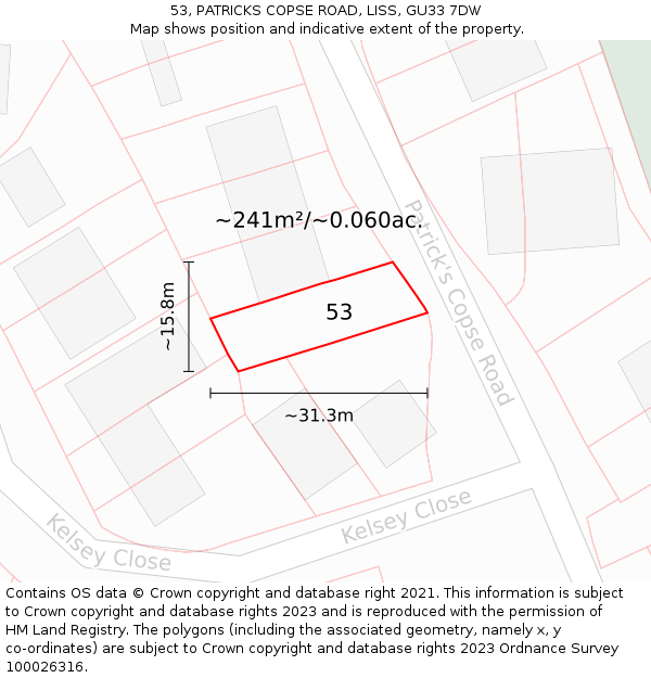 53, PATRICKS COPSE ROAD, LISS, GU33 7DW: Plot and title map