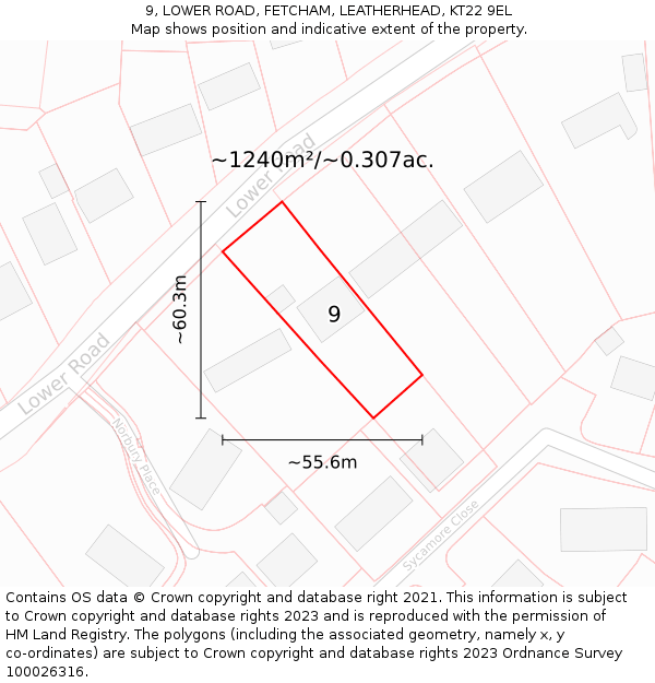 9, LOWER ROAD, FETCHAM, LEATHERHEAD, KT22 9EL: Plot and title map