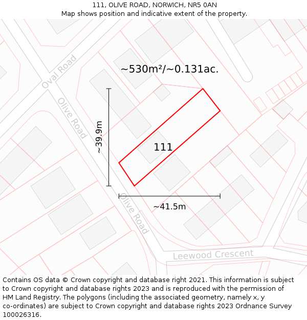 111, OLIVE ROAD, NORWICH, NR5 0AN: Plot and title map