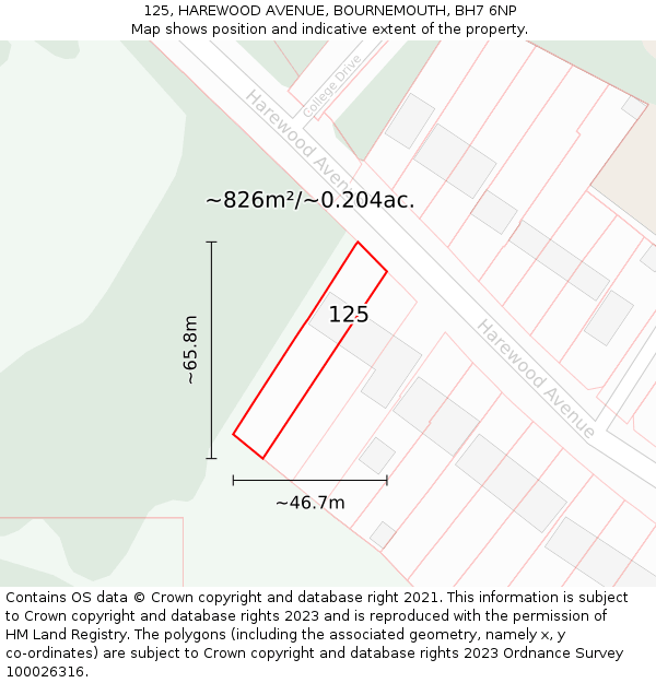 125, HAREWOOD AVENUE, BOURNEMOUTH, BH7 6NP: Plot and title map