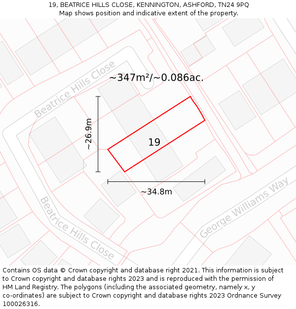 19, BEATRICE HILLS CLOSE, KENNINGTON, ASHFORD, TN24 9PQ: Plot and title map