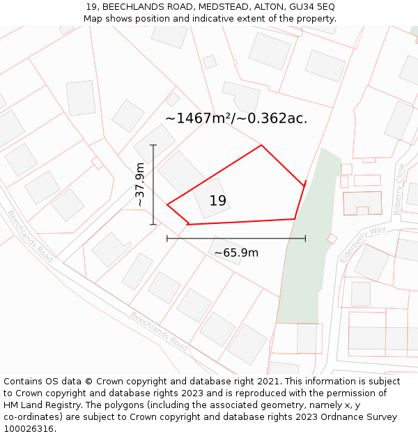 19, BEECHLANDS ROAD, MEDSTEAD, ALTON, GU34 5EQ: Plot and title map