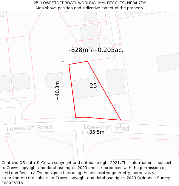 25, LOWESTOFT ROAD, WORLINGHAM, BECCLES, NR34 7DY: Plot and title map