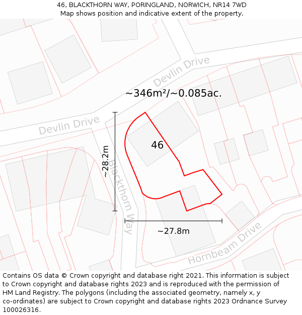 46, BLACKTHORN WAY, PORINGLAND, NORWICH, NR14 7WD: Plot and title map