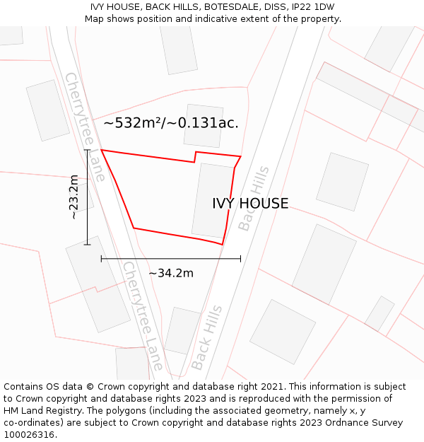 IVY HOUSE, BACK HILLS, BOTESDALE, DISS, IP22 1DW: Plot and title map